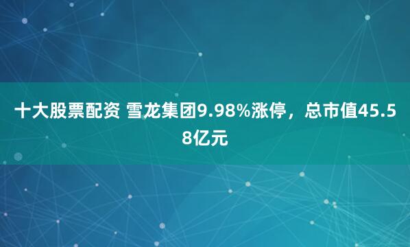 十大股票配资 雪龙集团9.98%涨停，总市值45.58亿元